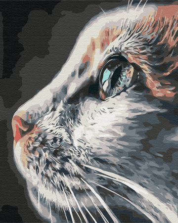 Cat Profile - Paint by Numbers