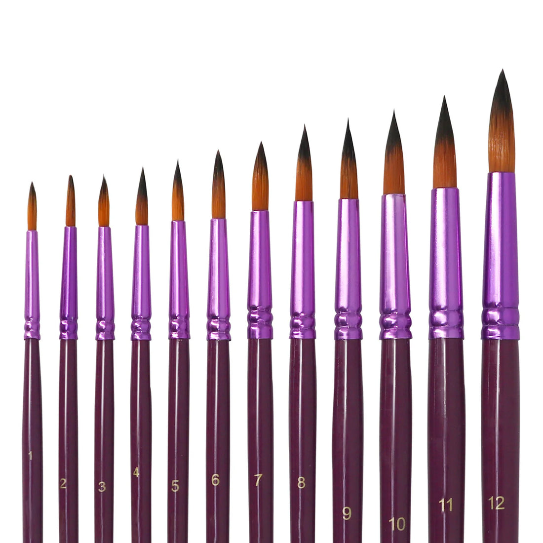 12pcs Paint Brush Set – Purple